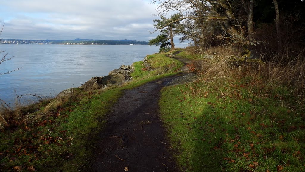 Strolling along Jack point; Protection Island in the distance... by Wilf Ratzburg