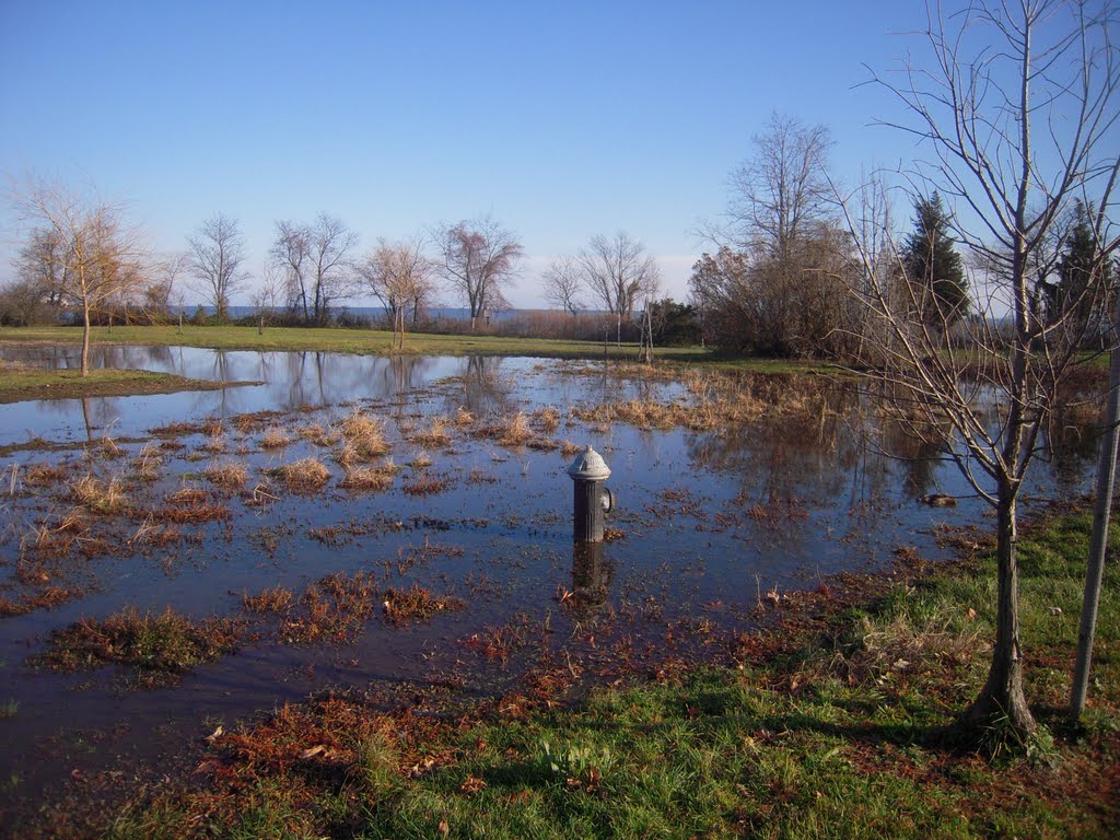 Flooded Grounds/Fire Hydrant by clyde7995