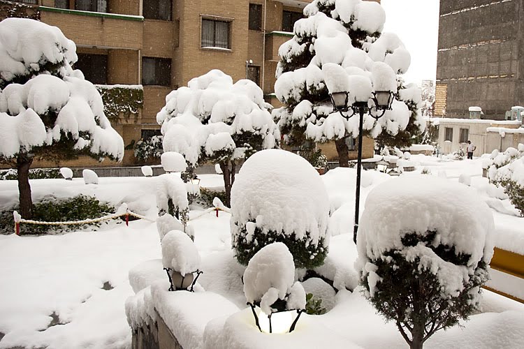 Winter in Tehran, Iran by Zygfryd Homonto