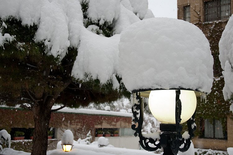 Winter in Tehran, Iran by Zygfryd Homonto