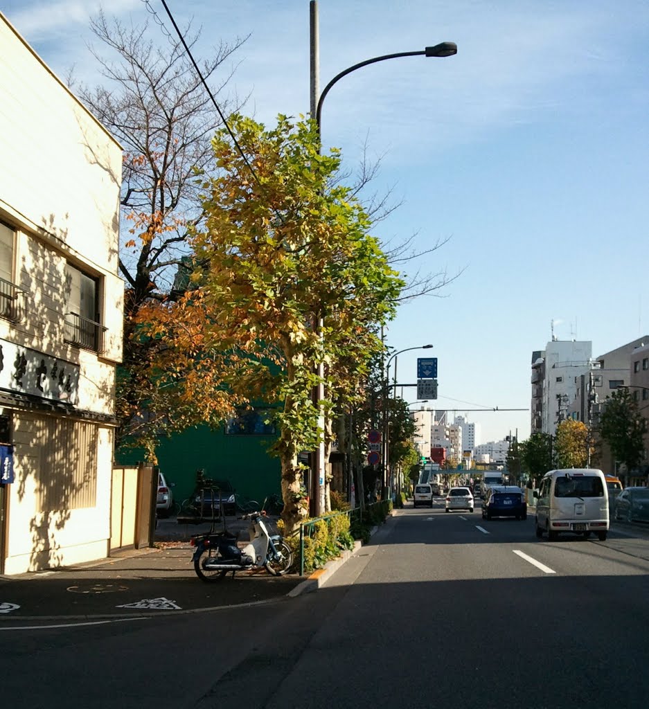 新目白通り Shinmejiro-dori Street by Grahabudayaindonesia