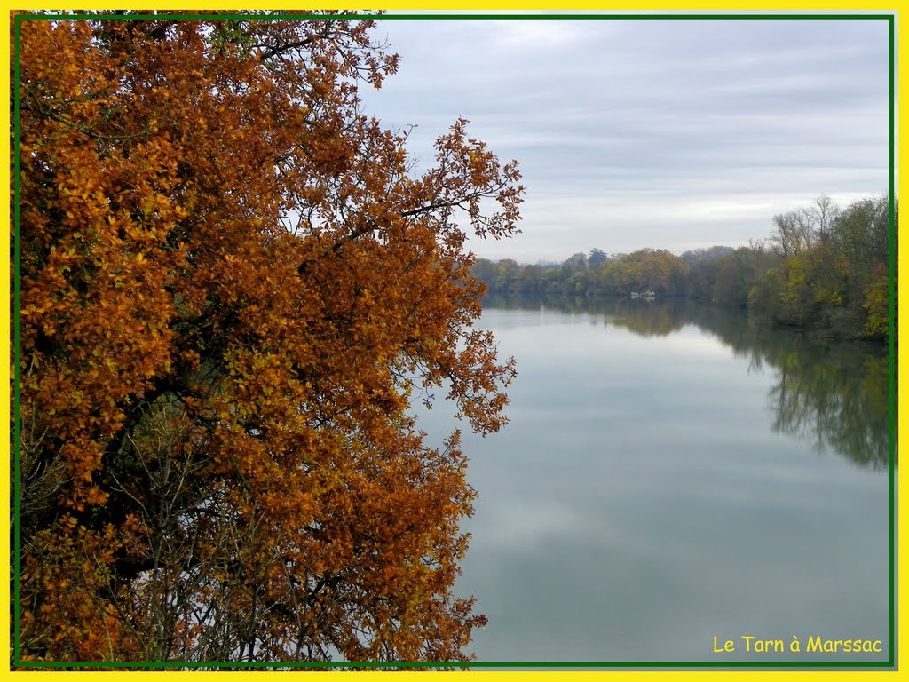 Le Tarn à Marssac. by Jean THIERS