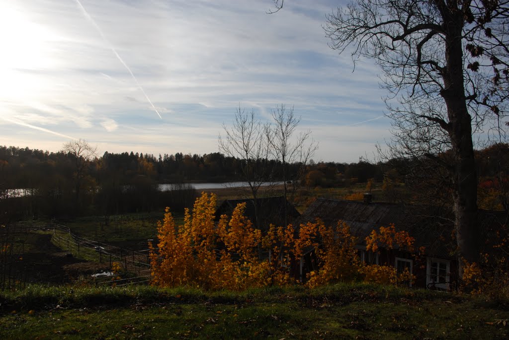 Fall day on Ekerö by Amanda J. Wood