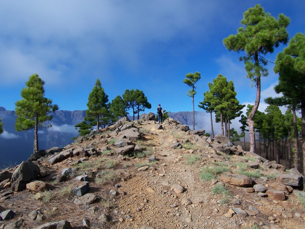 El Paso, Santa Cruz de Tenerife, Spain by M.Bäumer