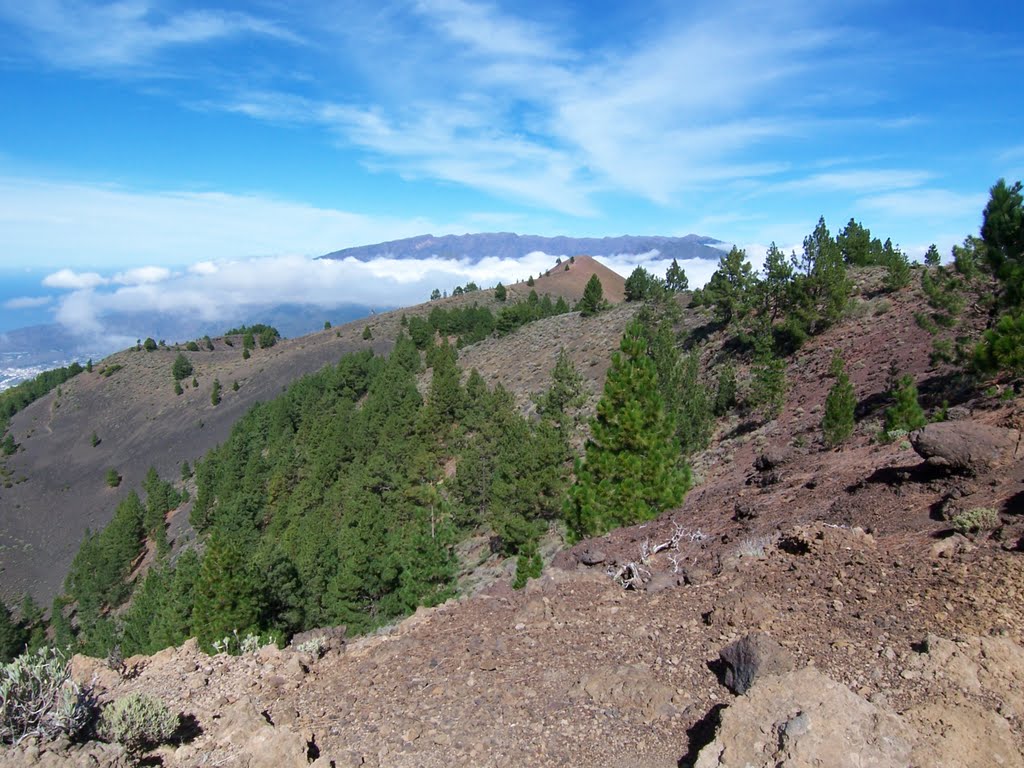 El Paso, Santa Cruz de Tenerife, Spain by M.Bäumer