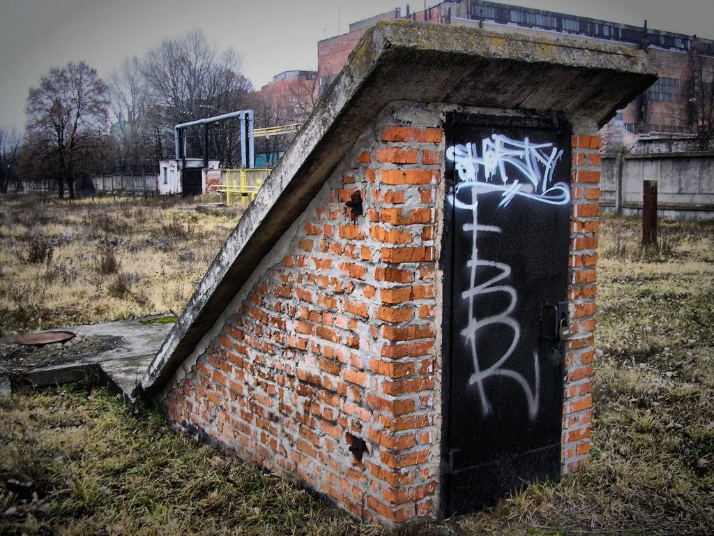 Entrance to the bunker/Вхід до бункеру by vD