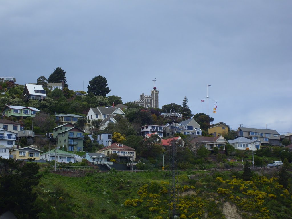 Lyttelton, New Zealand by jnine