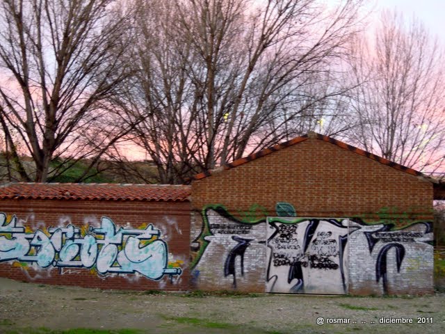 Grafiti en el Parque del Iregua , Logroño by Rosa  M. Olivan M.(-rosmar- )