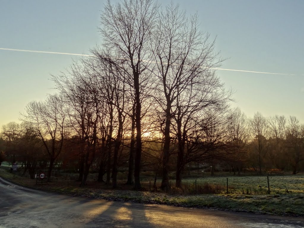 Audley End Dawn by Mark Swinburn