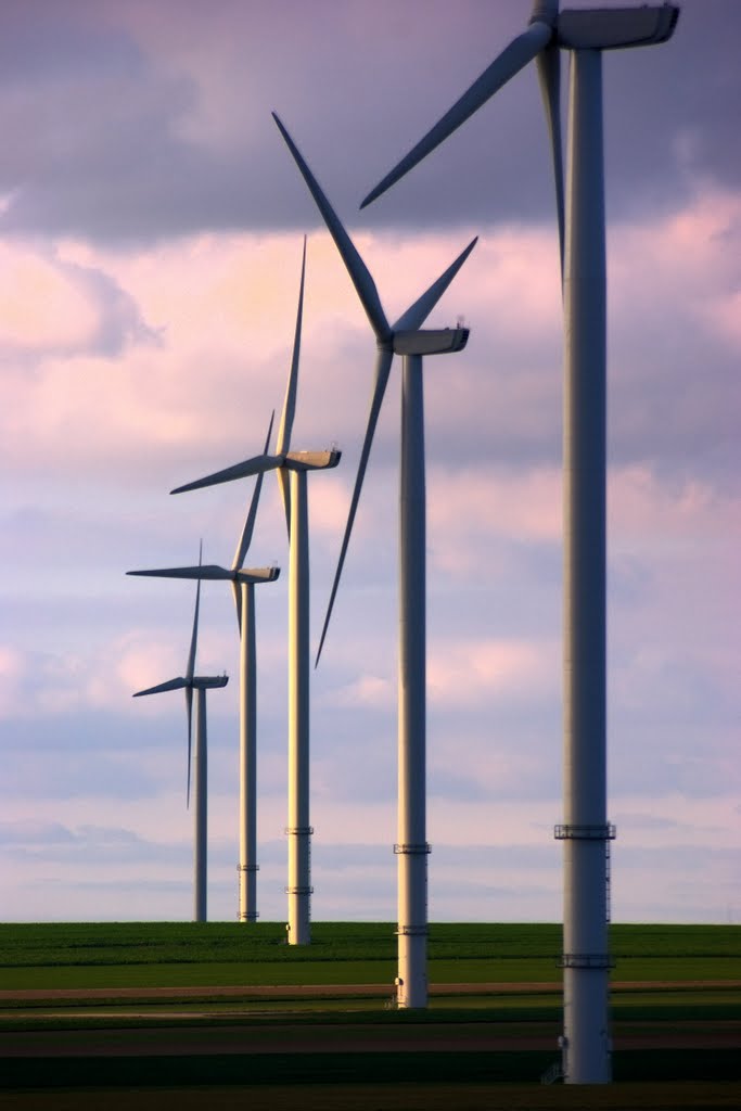 Éoliennes à Germinon-Vélye (Marne, France) - Windfarm in Germinon-Vélye ( Marne, France) by François Collard