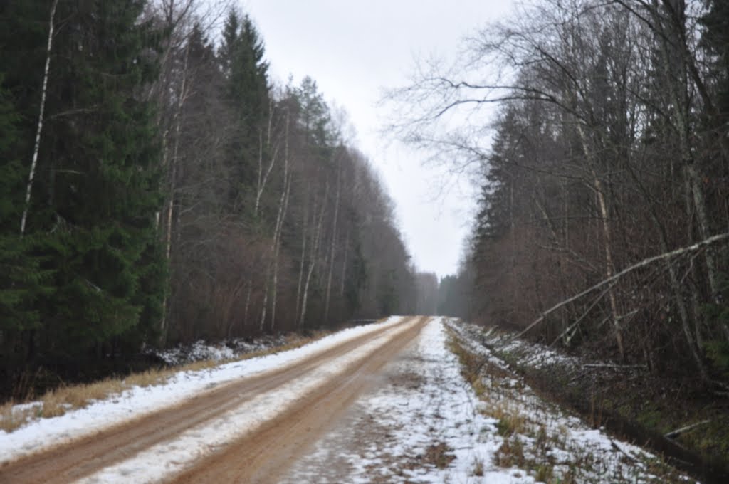 Ceļš mežā Pāles pagastā, netālu no Tenīšiem, Pāles pagasts, Limbažu novads, Latvia by M.Strīķis