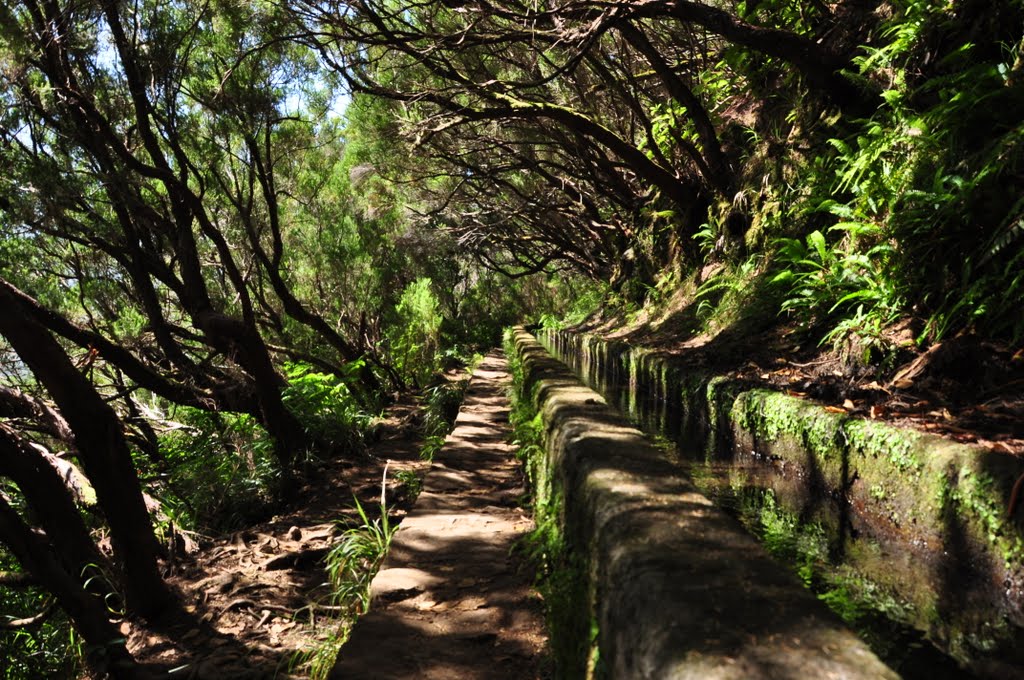 From Rabacal to Levada do Risco & Levada 25 Fontes, Madeira, Portugal, June/July 2011 by anagh