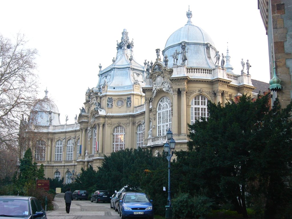 Városliget, Vajdahunyadi vár, Mezőgazdasági Múzeum by GyurIca