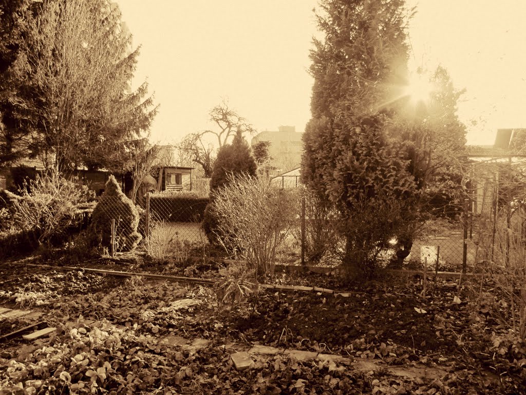 Pozdně podzimní zahrada v sépii 1 (late autumn garden in sepia 1) by Hana Koudelková