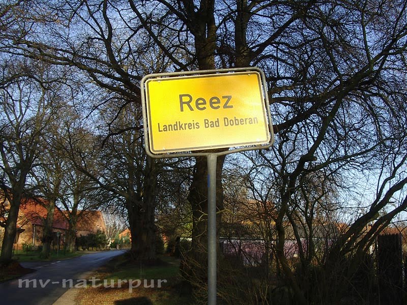 Reez by mv-naturpur