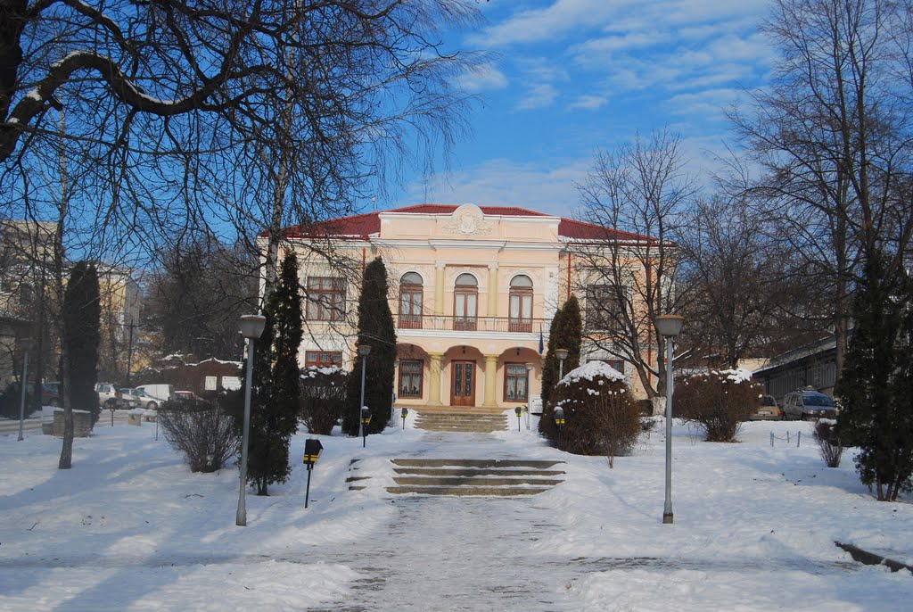 The Pogor Palace by Losy