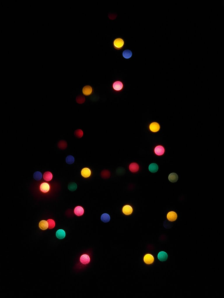 Rozostřený vánoční stromeček (a Christmas tree out of focus) by Hana Koudelková