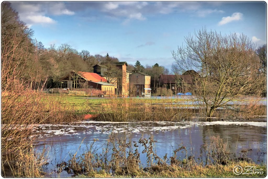 Wassermühle bei Hochwasser by Don111