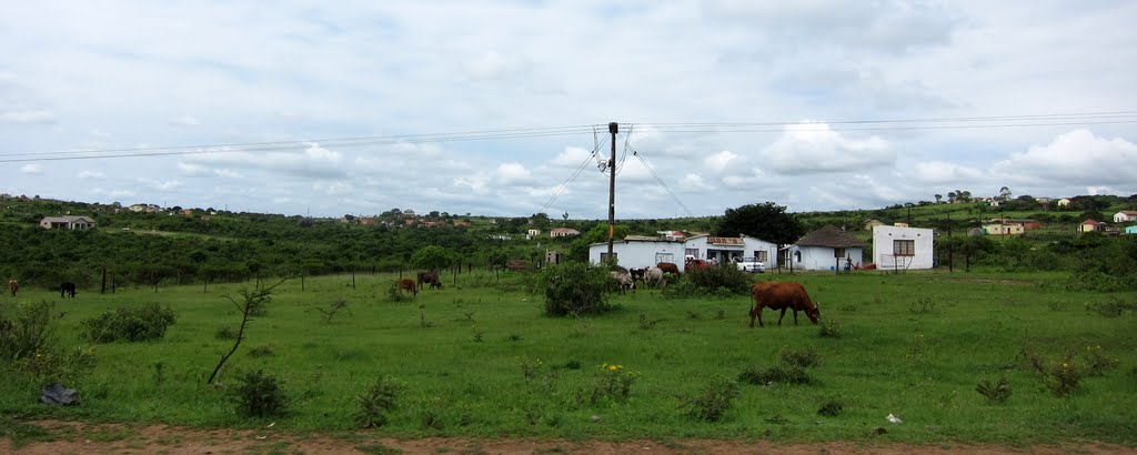 Near Hlabisa by Maria Wagener