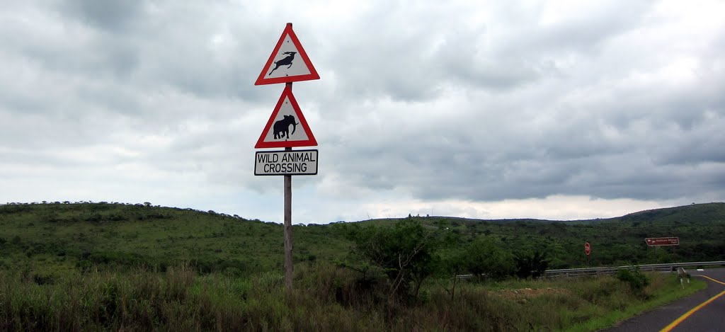 Elephant road sign by Maria Wagener