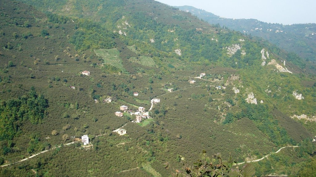 Giresun Çağlayan Köyü'nün (EZEDİN) Iklıkçı'dan görünüşü by Ezedin