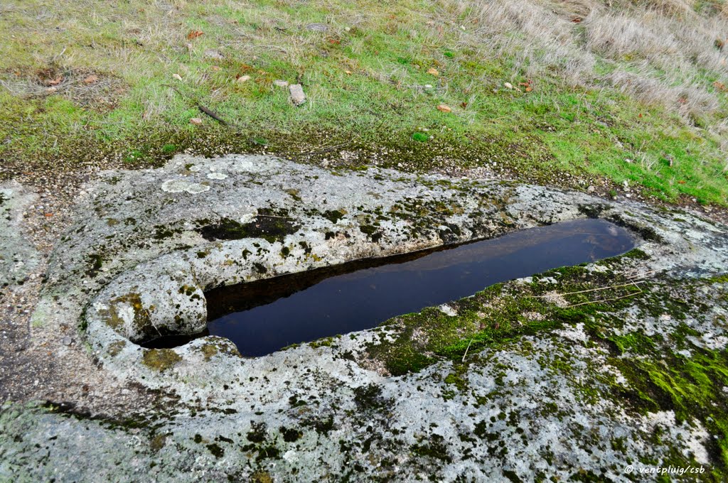 Culte i ritus celtes a Donôes: figures antropomòrfiques en el granit by © ventpluig/csb