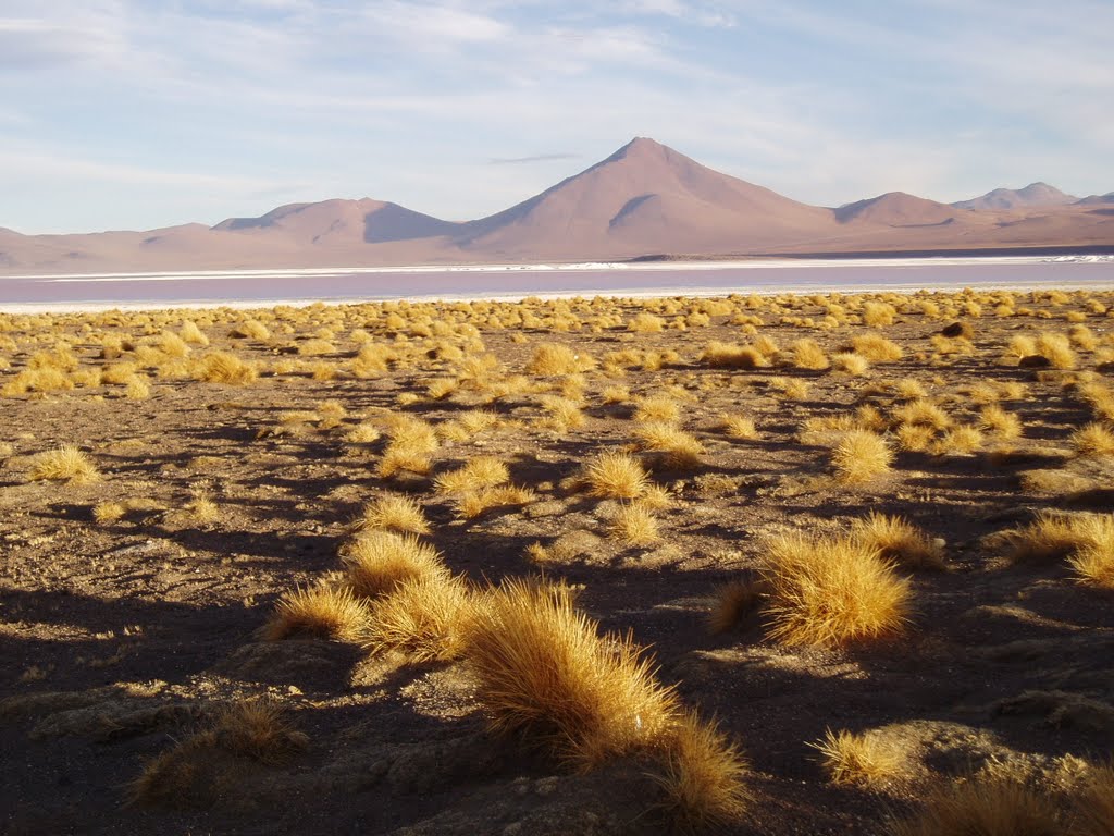 Laguna Colorada by j.r.f.25