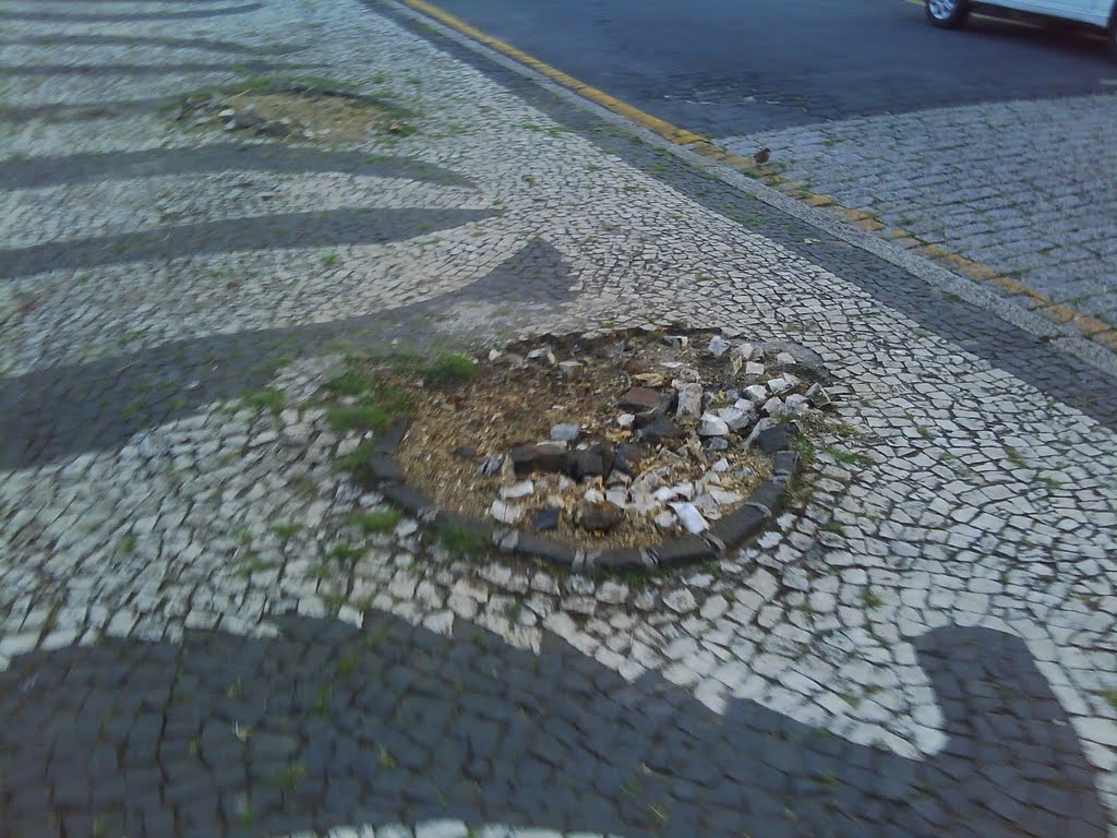 Aqui já existiu ou everia existir uma árvore, aliás, duas. Calçada danificada by curitiba.seculo21