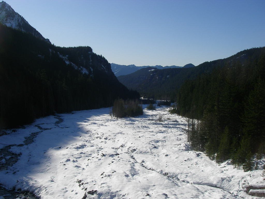 Looking downriver from Nisqually River Bridge - Mt Rainier Nat'l Park by corneliusrags