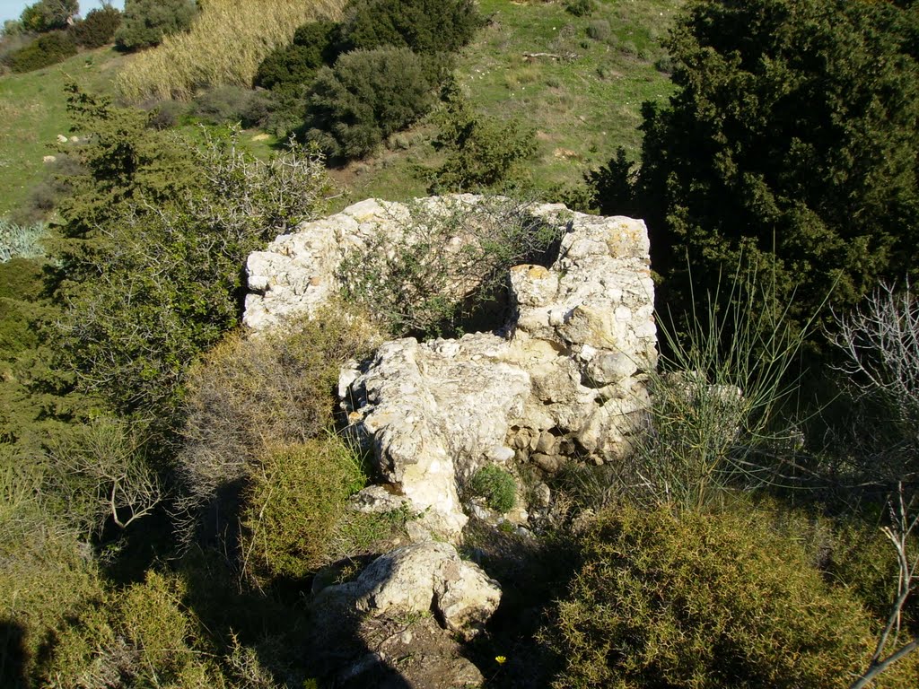 ΝΕΡΟΜΥΛΟΣ (WATERMILL)ΣΤΟ ΠΕΡΙΑΣΤΙΚΟ ΠΑΡΚΟ ΣΤΟ ΚΟΝΙΑΡΙΟ,ΚΩΣ by Sophia Karagianni