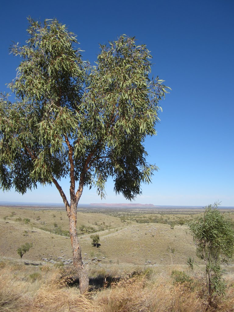 West Macdonnell Ranges by Ali&Pete