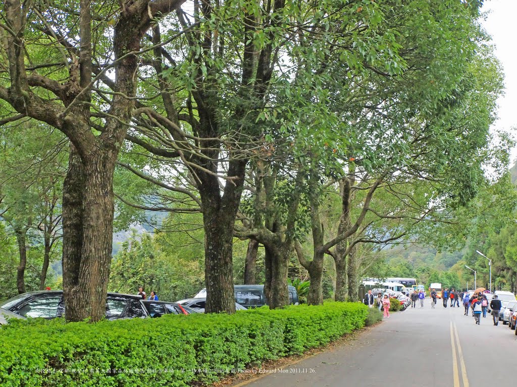 南投縣 仁愛鄉 親愛村 奧萬大國家森林遊樂區 酷杜停車場（第一停車場）附近景觀 by Edward Mon