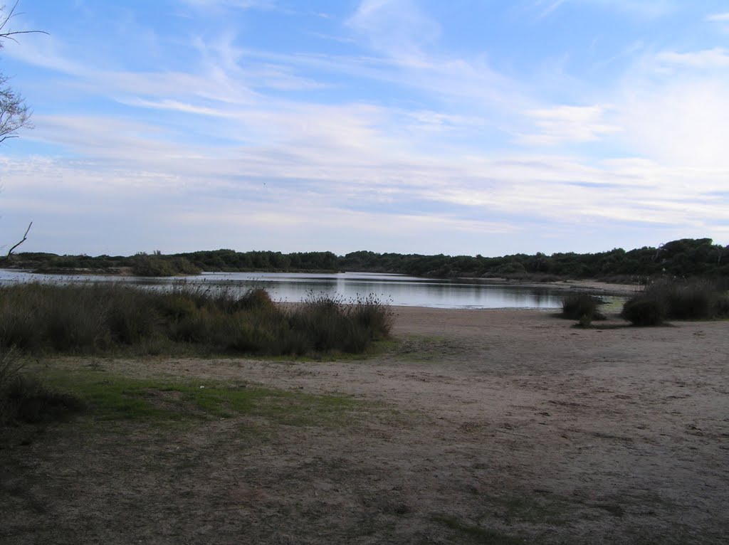 Lago de Saler by Adalberto Asins Torr…