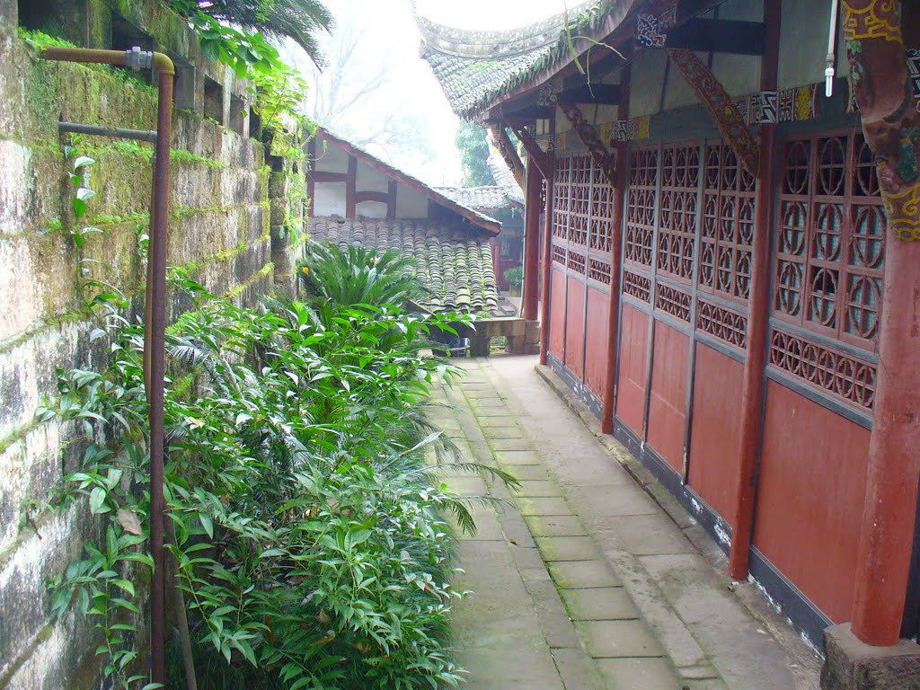 Baodingshan monastery, Dazu, Chongqing, China by Rick Fowler