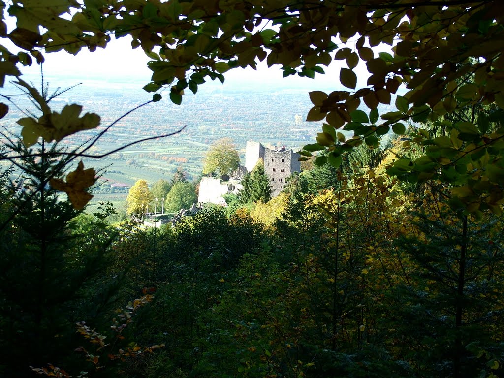 Ruine Schauenburg by dihei1955