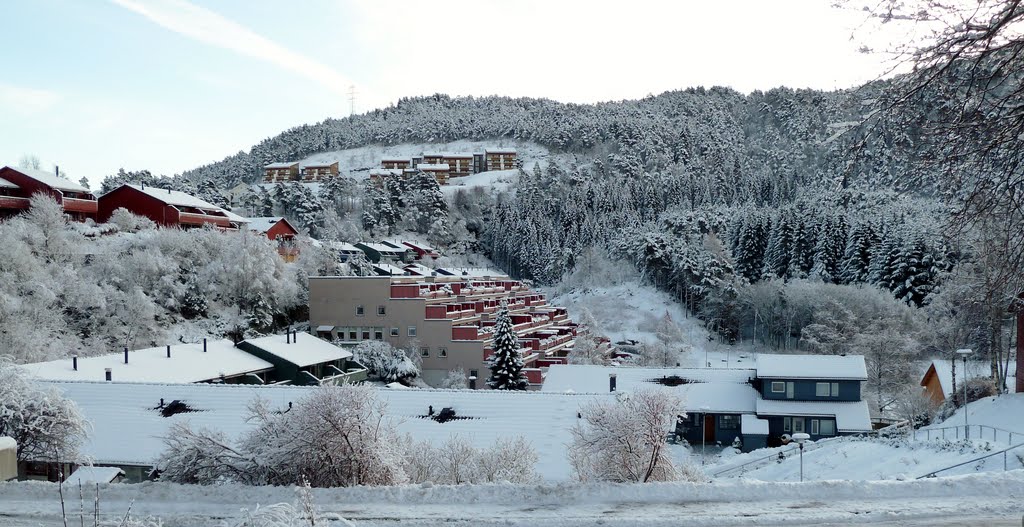 Åmundsdalen by H.Jelstad