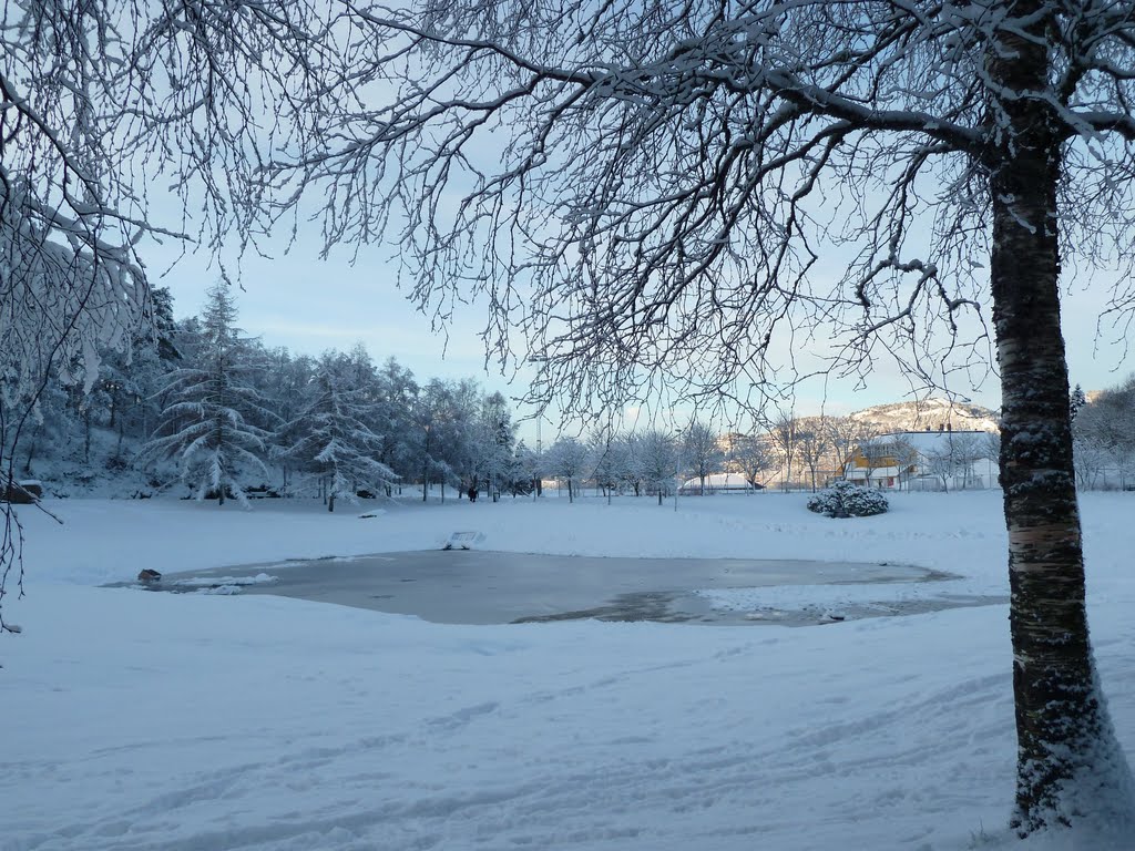 Vinter i Rollandsparken by Herman Jelstad