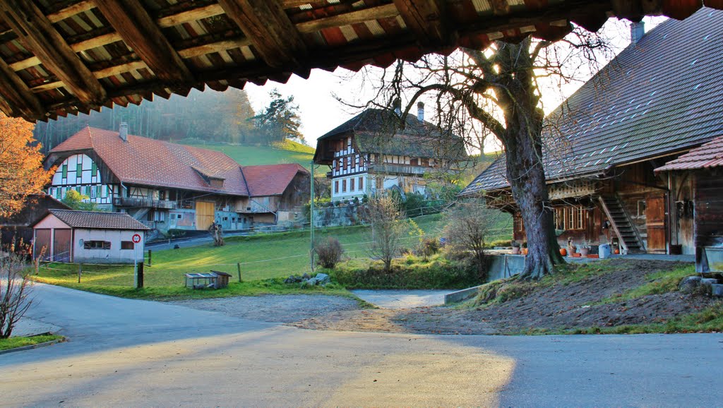 Gurtendorf - villaggio alle pendici del Gurten by Alfonso Minoli