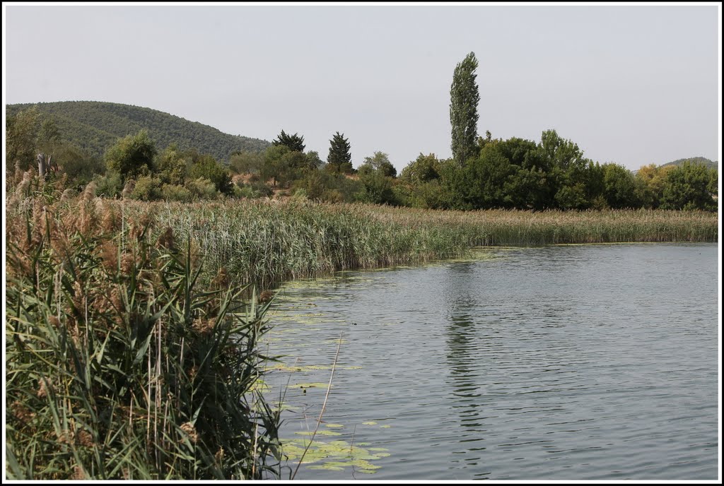 Visovačko jezero Krka 04.09.2011. 2011 S 733 BolRi_76 by Vladimir Tkalčić