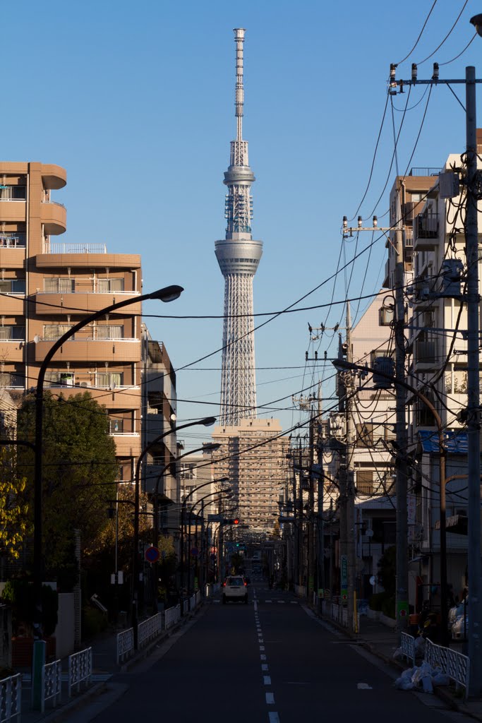 東京スカイツリー2011/12 by mimamura