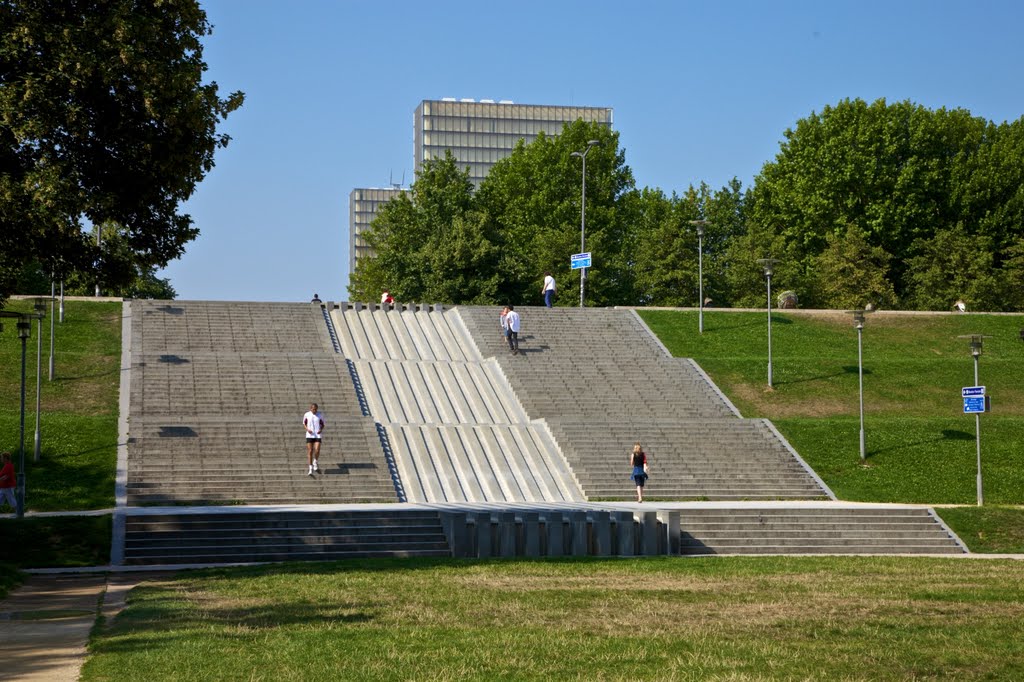 Bercy by Francklin veck