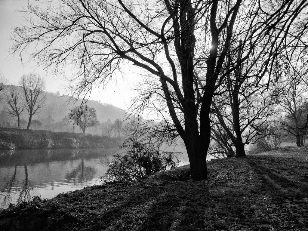 Parco Vallere lungo Po (Torino) by Maurizio Balsamini