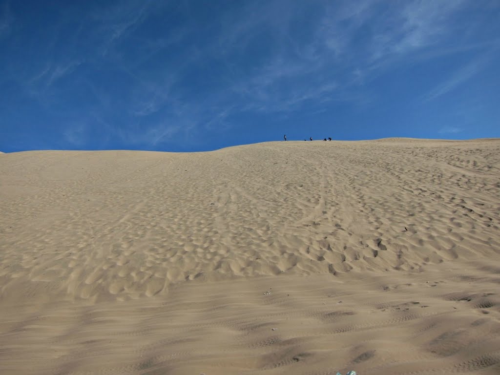 Desert, Oasis de la Huachachina, Ica, Peru by rdavor