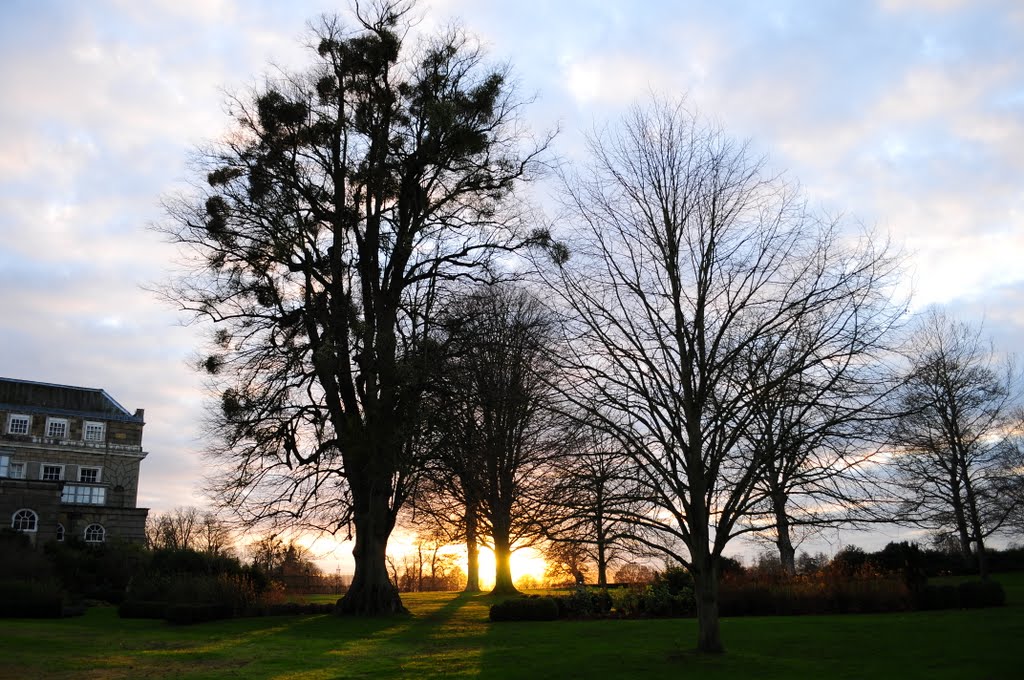 Petworth House & Park, Petworth, West Sussex, UK by John Starnes