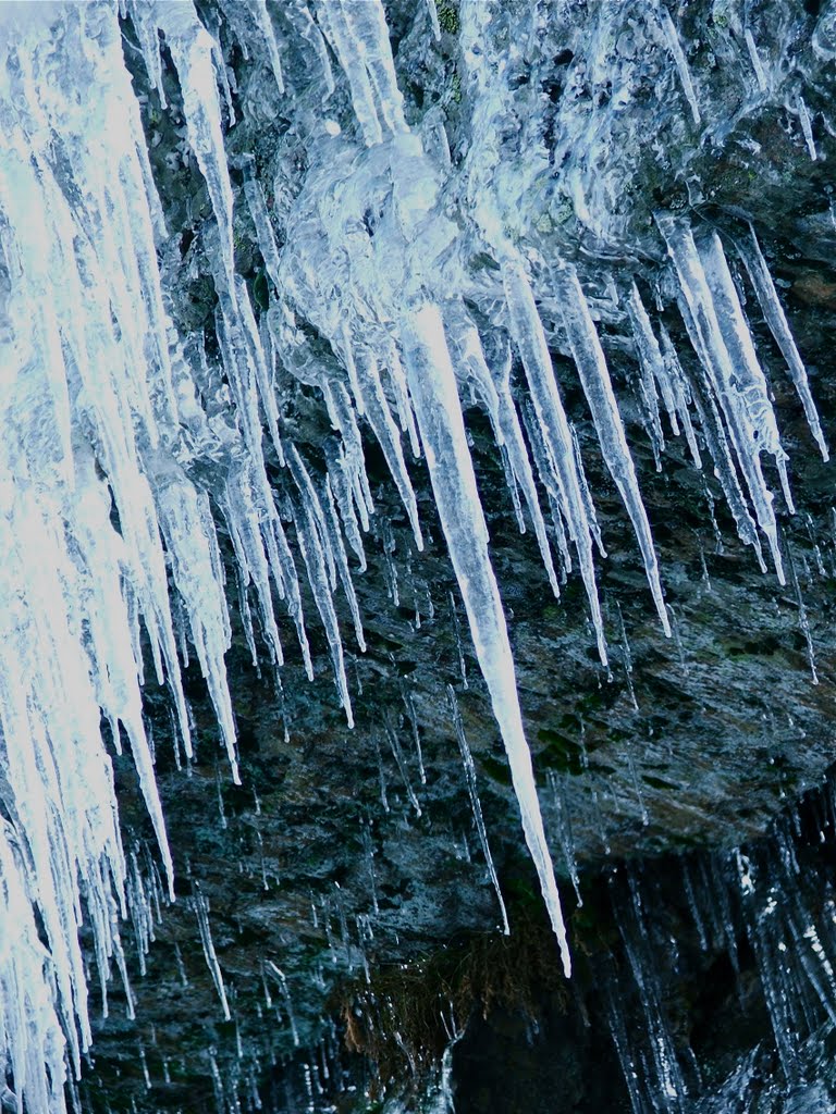 Estalactítas en Picos de Europa by Guillermina Sogo