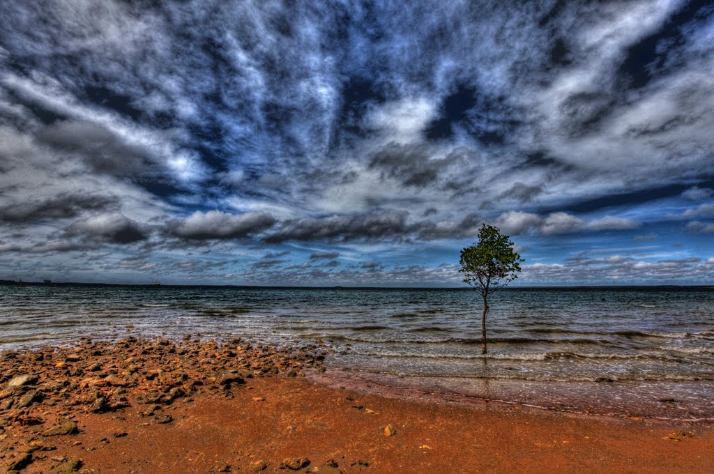 Seashore at Darwin by Charlie Charlton