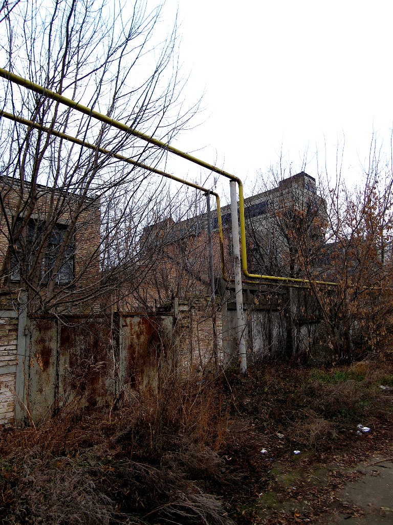 Biochemical plant by Oleg Kurtsev