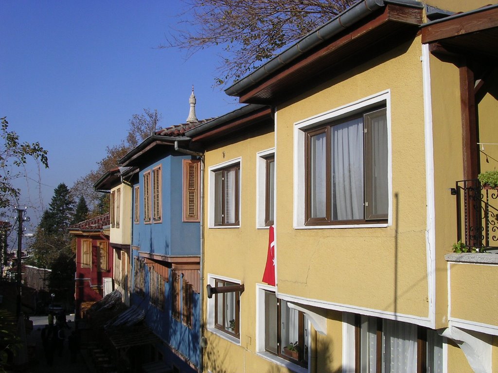 Old Houses in Green District 1 by ismet soner