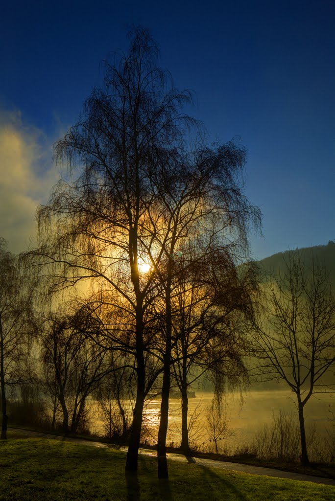 Frühnebel an der Moselpromenade by Heinz Peierl