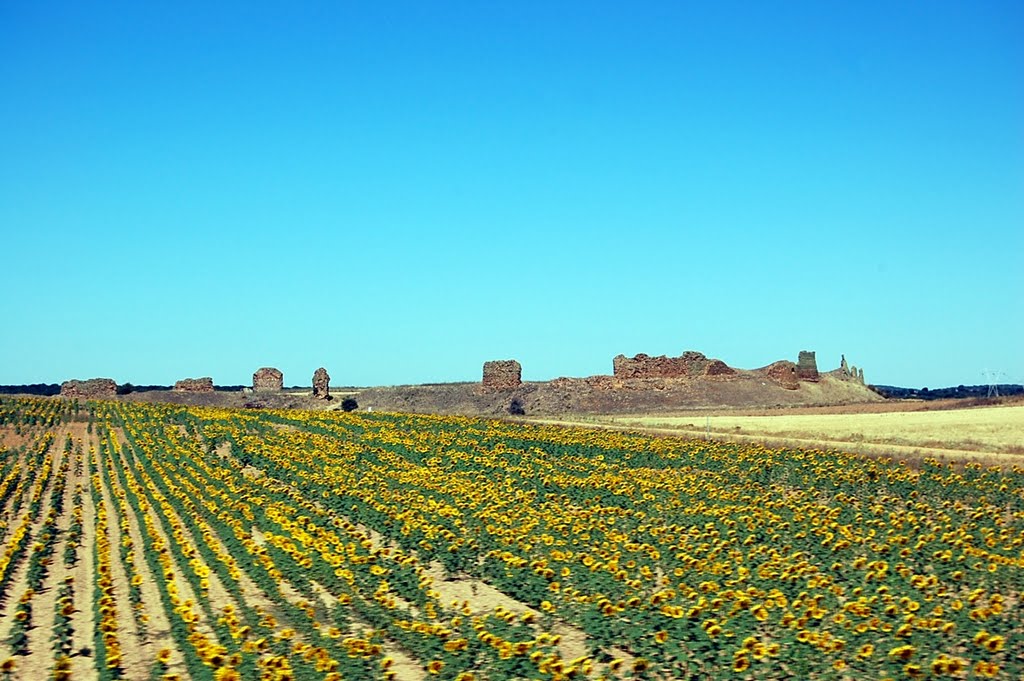 Ruinas de Castrotorafe by Jose Peyre